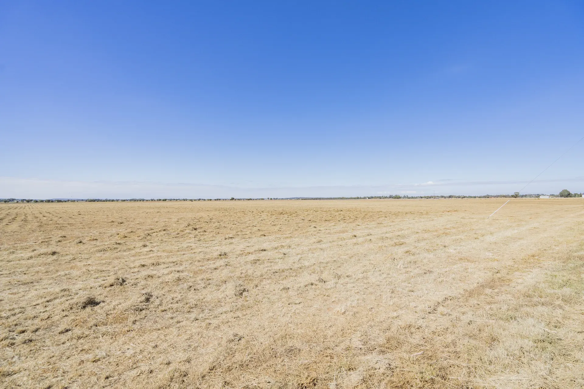 Ground-level view across the Leeton Rise estate site
